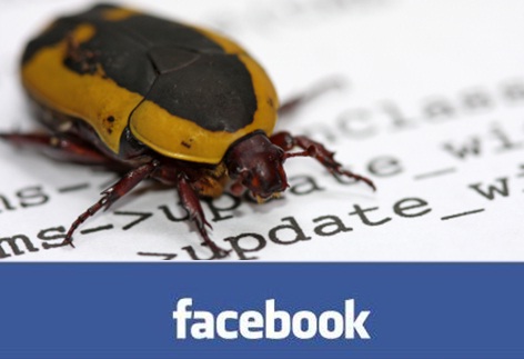 Facebook bug: bisa hapus album photo orang lain